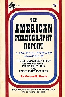 The American Pornography Report
