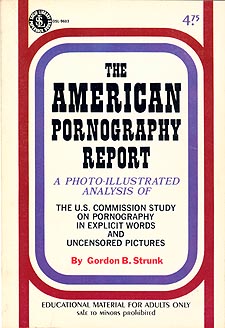The American Pornography Report
