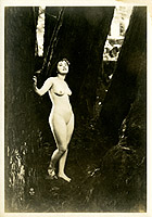 alta7
