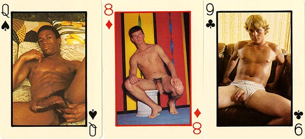 Playing Cards Deck 483