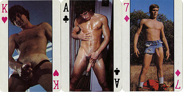 Playing Cards Deck 511