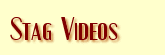 Vintage Stag Films on DVDs